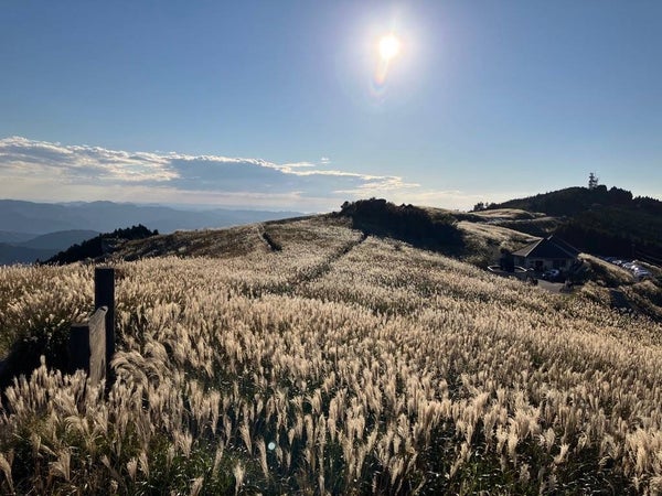 まるごと2尾(約400g)使用!豪快!和歌山産イセエビ尽くしフルコースと関西随一!すすきの生石高原【田原本・大和八木・橿原神宮・五位堂発】2